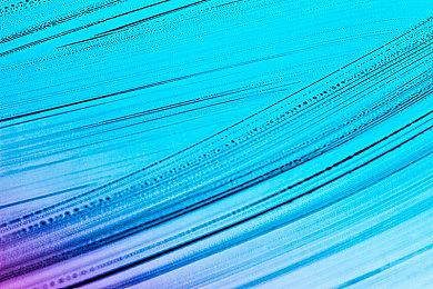 《WWE 2K22》新实机预告 送葬者、强森惊艳亮相